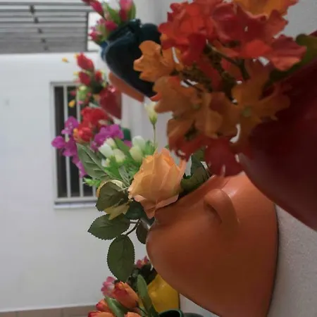 La Casita De Papel *